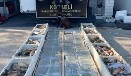 BALIK YÜKLÜ KAMYONETİN TABANINDA 53 KİLO 'SKUNK' ELE GEÇİRİLDİ