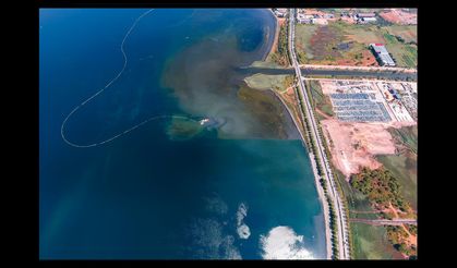 Deniz temizleniyor, ekosistem güçleniyor