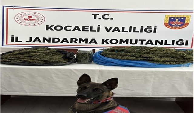 Uyuşturucu taciri 2 şahıs yakalandı