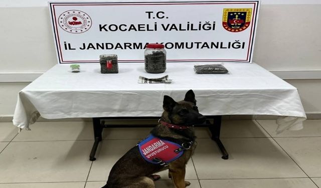 Jandarma'dan  Kartepe'de uyuşturucu operasyonu!