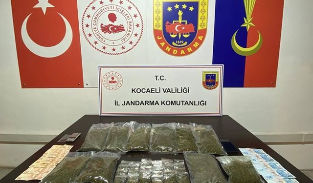 Jandarma ekiplerinden Darıca'da baskın!