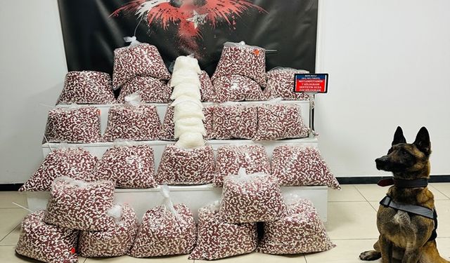 220 Kilo Zehir Yüklü Tır Gebze’de Yakalandı