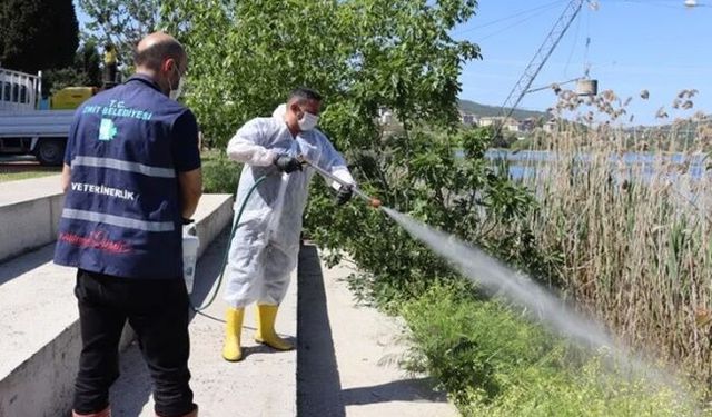 İzmit'te halk sağlığı için yoğun ilaçlama mesaisi