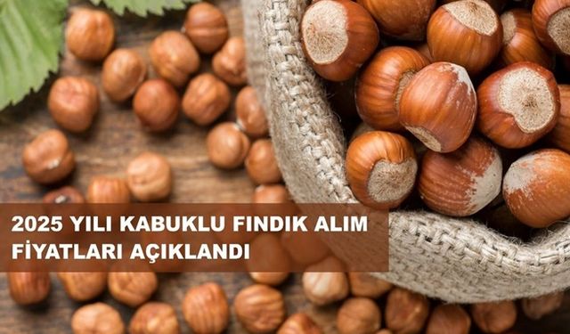 Fındık'ta Taban Fiyat Belli Oldu!