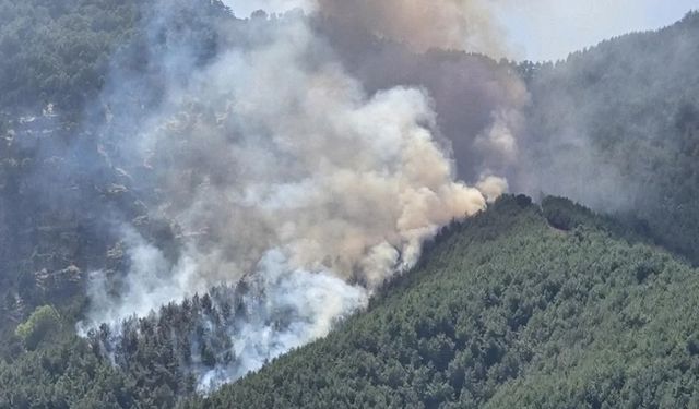 Antalya Kemer’de otellere yakın orman yangını