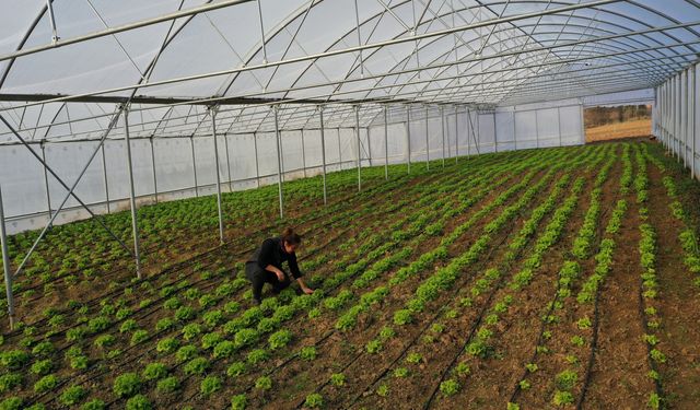Büyükşehir’den çiftçilere modern sera desteği