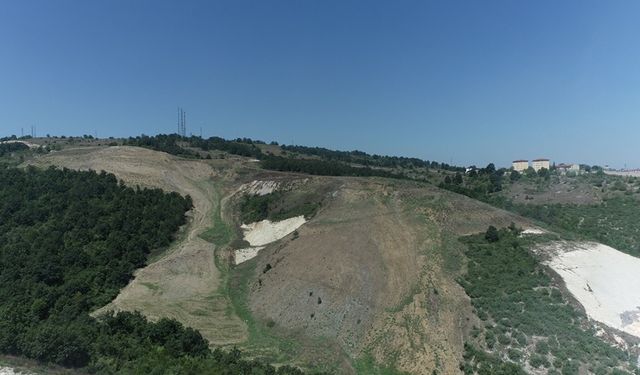 Kandıra Akçakese’ye 4.500 ağaçlık doğal orman