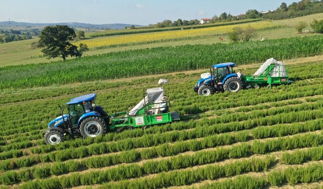 Kocaeli'de 7 yılda tarıma 1,4 milyar destek!