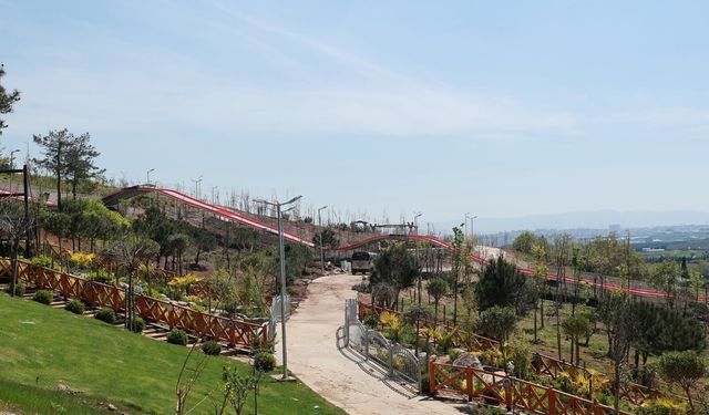 Pelitli Bayraktepe Mesire Alanı’nda çalışmalar tam gaz