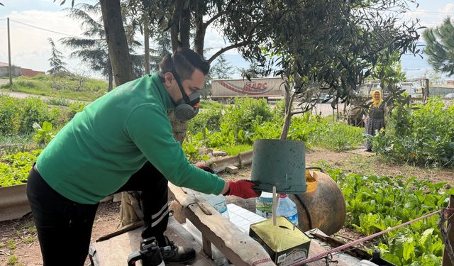 100 kişilik dev ekip, vektörle mücadele için sahada
