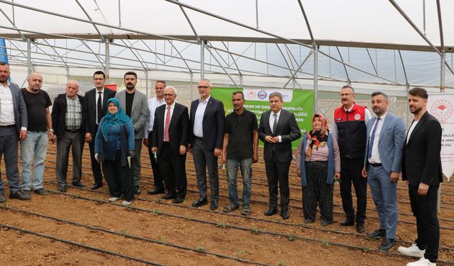 Büyükşehir, Gebzeli çiftçiye 500 bin sebze fidesi desteği verdi