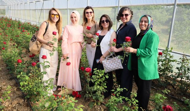 Kocaeli’nin ilk gül serası kadın elinden