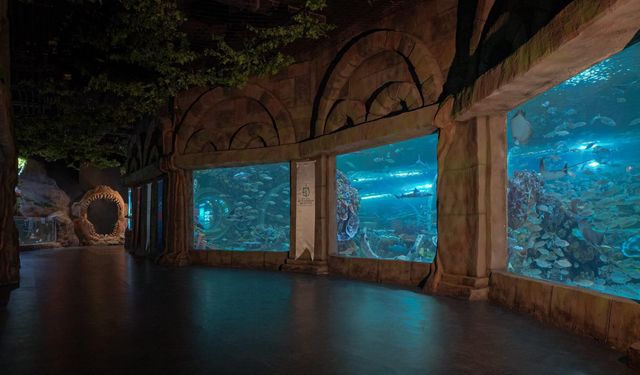 Körfez Aqua 7’den 70’e herkesi büyüledi