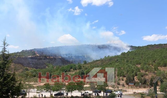 Gebze’de Orman Yangını Kontrol Altına Alındı: Soğutma Çalışmaları Sürüyor