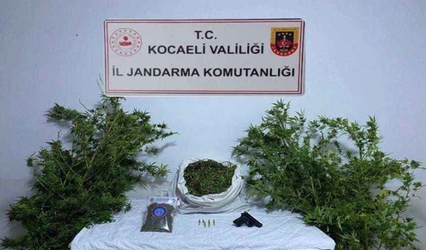 Kandıra'da  uyuşturucu operasyonu