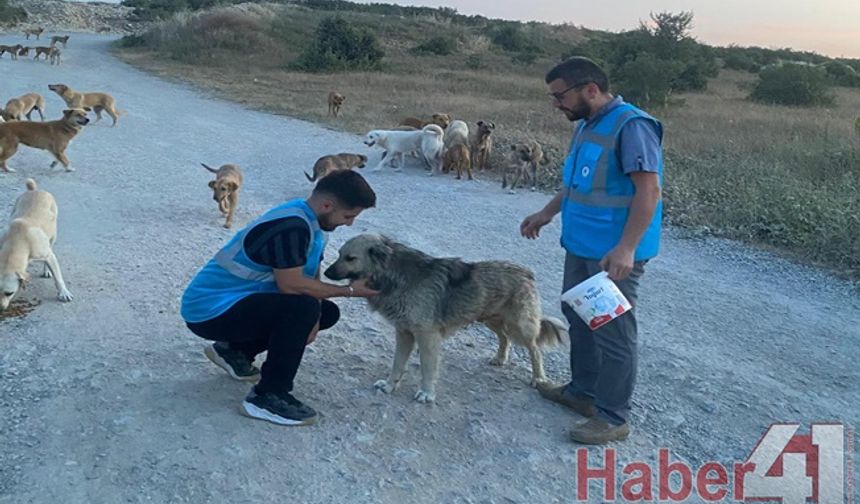 Kocaeli Gençlik Hareketi Derneğinden anlamlı etkinlik!