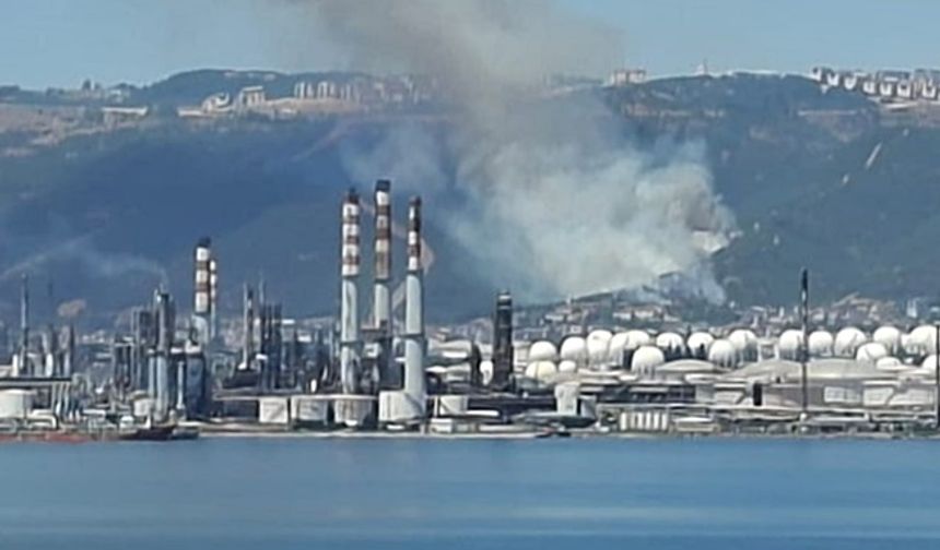 Kocaeli''de orman yangını meydana geldi: Ekiplerin çalışması devam ediyor!