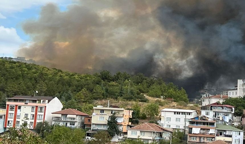 İzmit'te Korkutan Orman Yangını