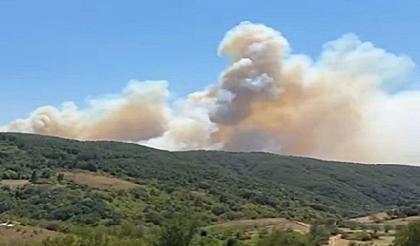 Kocaeli’de Orman Yangını: Valilikten Rüzgar Uyarısı