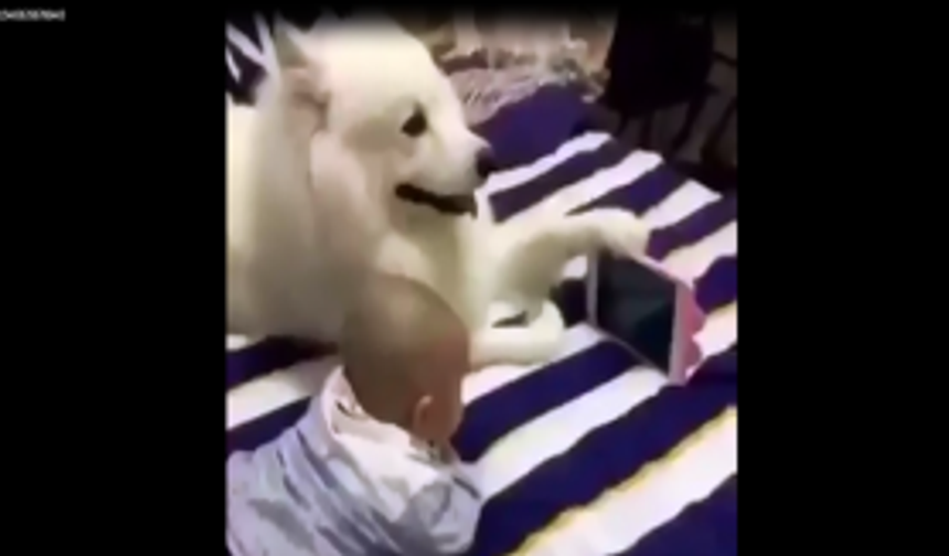 Yok böyle bişeyyy....