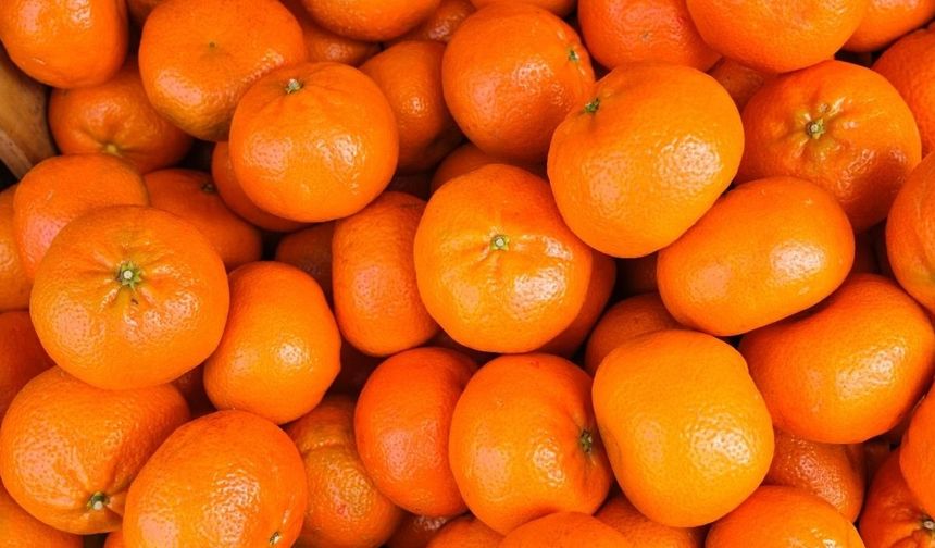Narenciye ihracatı 2025’te rekor gelir sağladı