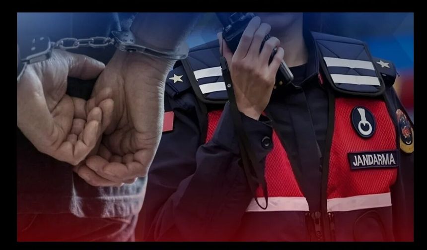 27 ilde silah operasyonu: 259 şüpheli yakalandı