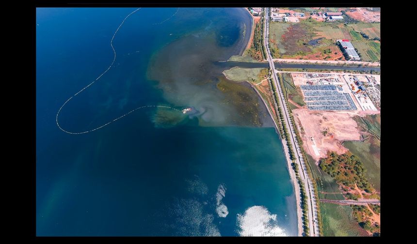 Deniz temizleniyor, ekosistem güçleniyor