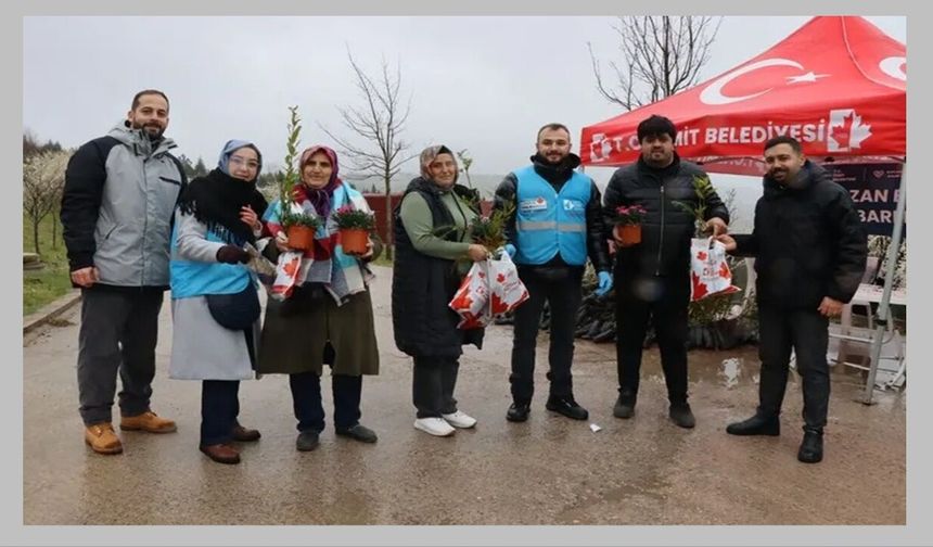 İzmit Belediyesi mezarlıklar için binlerce fide dağıttı