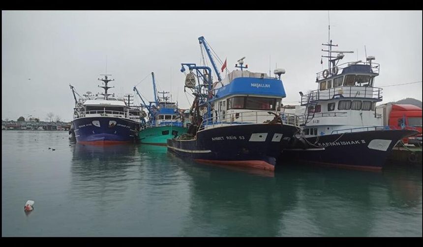Kocaeli’de denizlerde av yasağı başladı