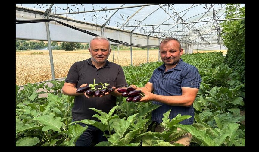 Büyükşehir’in sera desteği üretime güç kattı