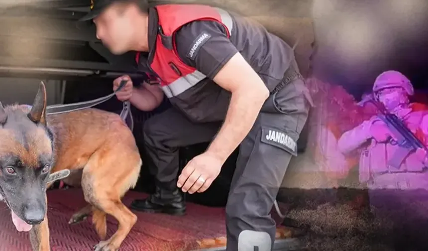 28 ilde uyuşturucu operasyonu: 96 şüpheli yakalandı